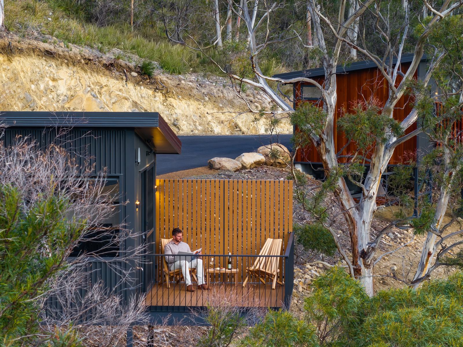 Person sitting on deck amongst gumtrees overlooking the forest