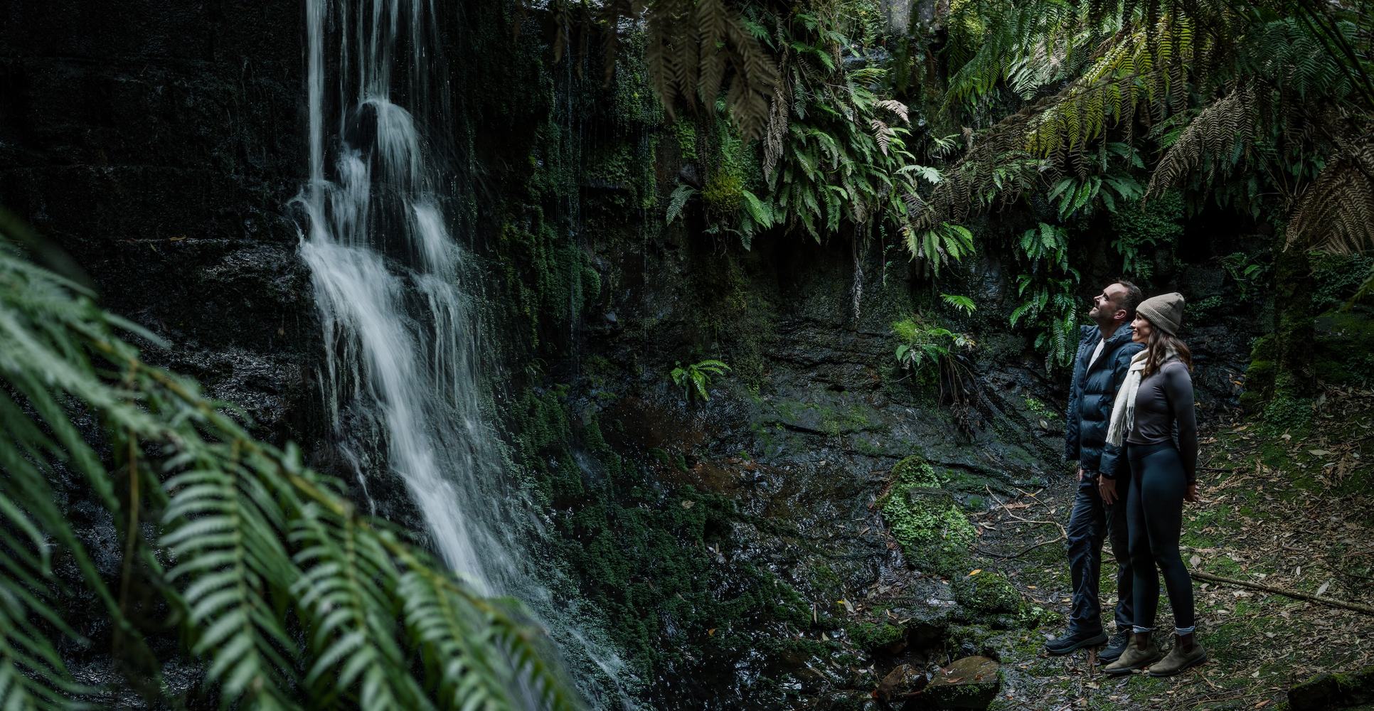 People standing by waterfall and ferns in tasmania