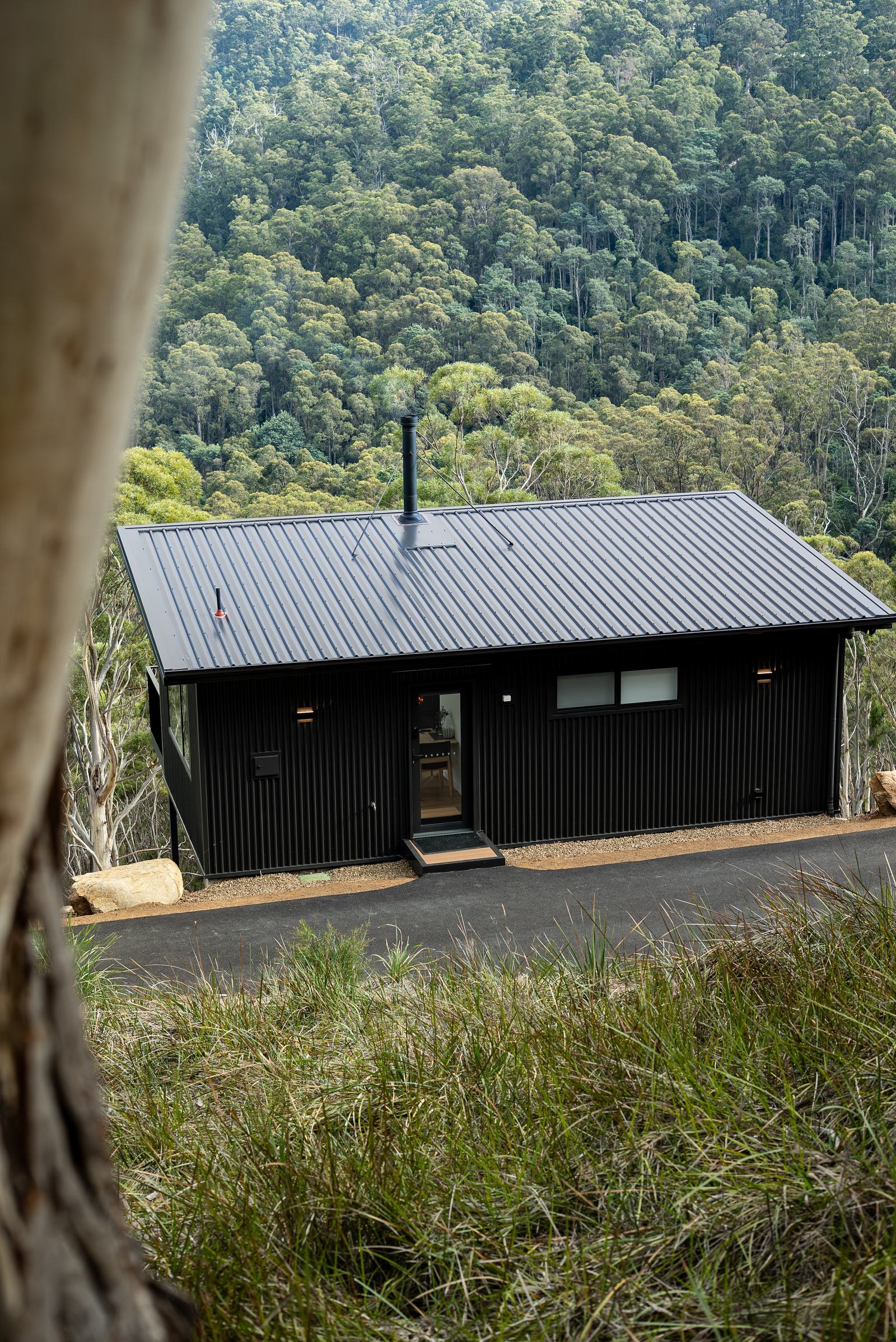 Hillside cabin between trees in the forest